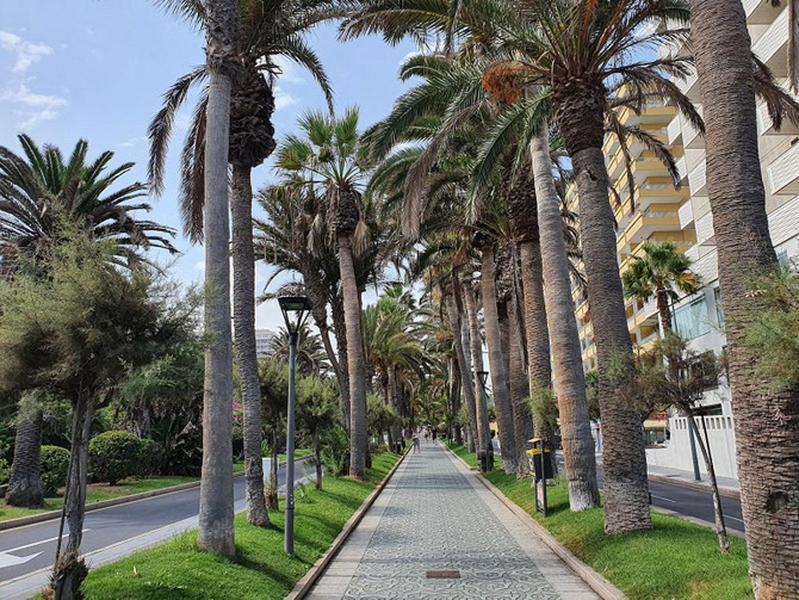 Ferienwohnung Apartamento Renovado, Frente A La Playa, Con Garaje Puerto de la Cruz  Exterior foto
